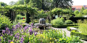 Apothekergarten der Universität Leipzig - BILDLEXIKON LEIPZIG - Das lebendige Stadtgedächtnis von Leipzig