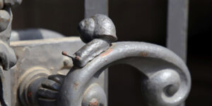 Schnecken am Neuen Rathaus - BILDLEXIKON LEIPZIG - Das lebendige Stadtgedächtnis von Leipzig