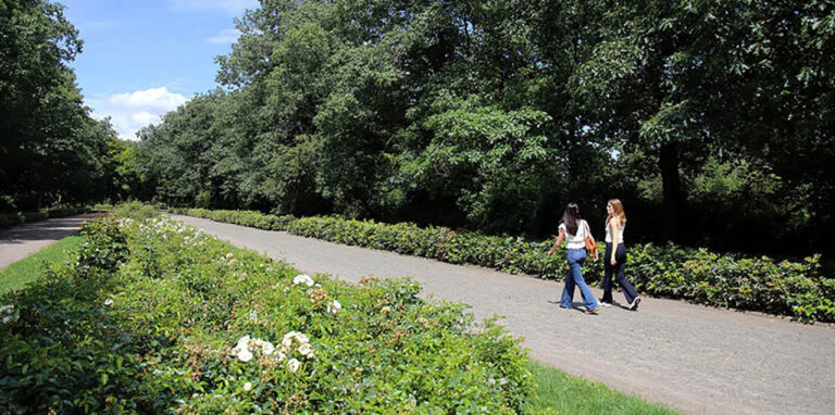 Foto: Leipzig - Mariannenpark