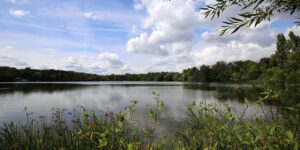 Foto: Leipzig - Auensee