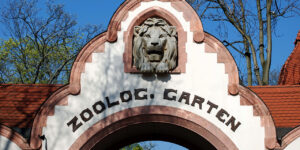 Foto: Leipzig – Zoo – Beitragsbild
