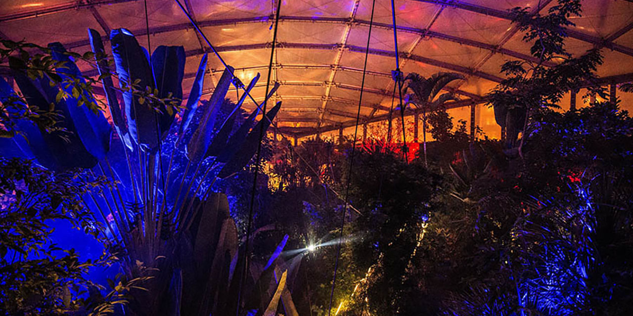 Foto: Leipzig – Magisches Tropenleuchten im Zoo Leipzig