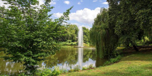 Foto: Leipzig – Palmengarten