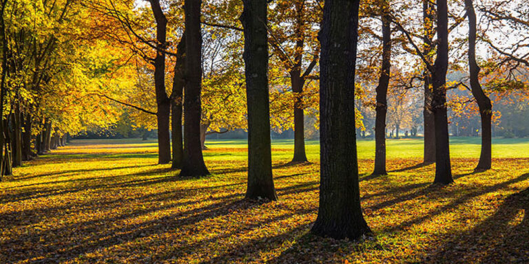Foto: Leipzig – Volkspark Kleinzschocher
