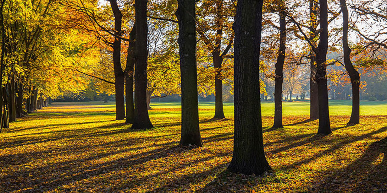 Foto: Leipzig – Volkspark Kleinzschocher