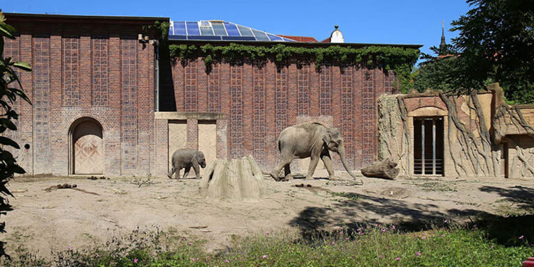 Foto: Leipzig – Elefantentempel Ganesha Mandir im Zoo Leipzig