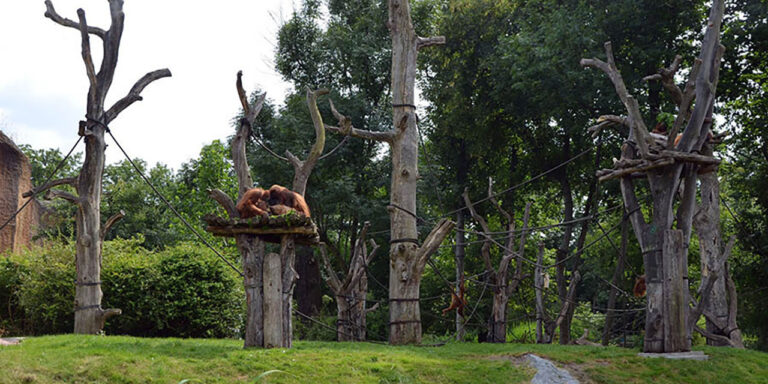 Foto: Leipzig – Menschenaffenanlage Pongoland im Zoo Leipzig
